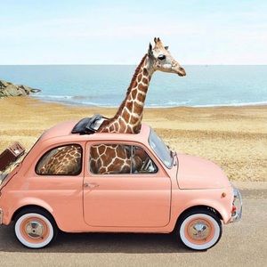 Meet your Posher, Mist